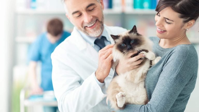 veterinarian ppc agency